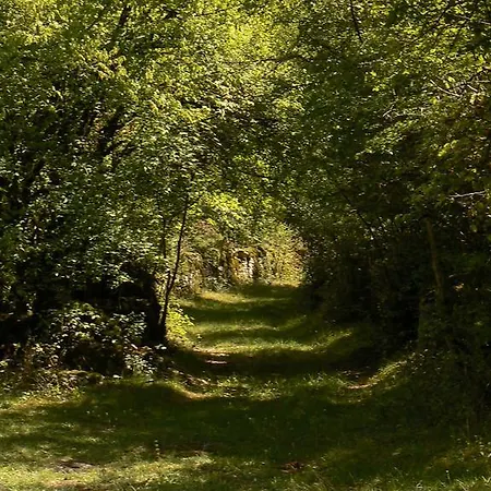 Πανσιόν La Maison Cachee Varaire
